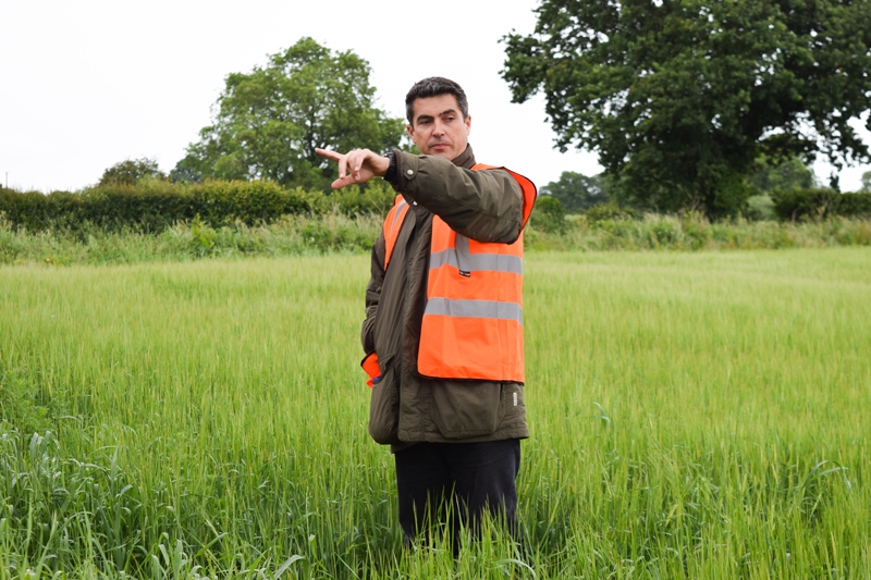Malting barley and wheat market update | Crisp Malt 2022