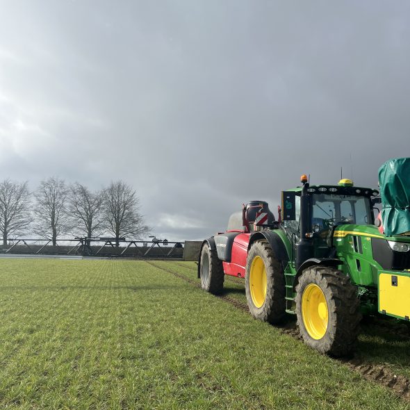 Malting barley field in Norfolk