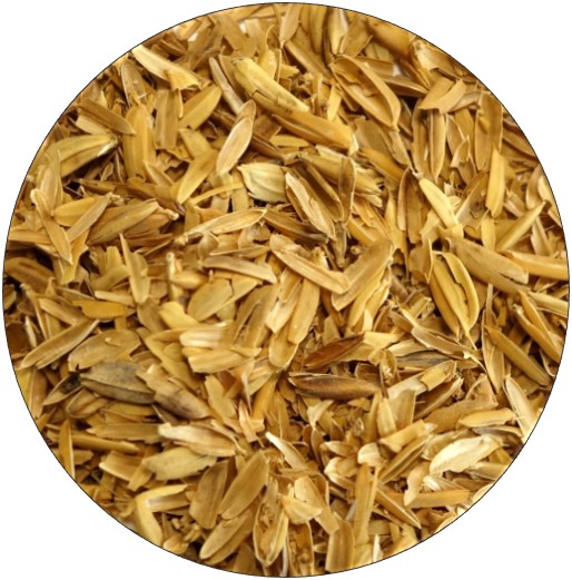 Rice hulls in detail | Crisp Malt