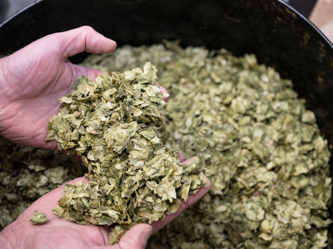 Inspecting hops