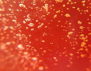 brewing red ales with speciality malts