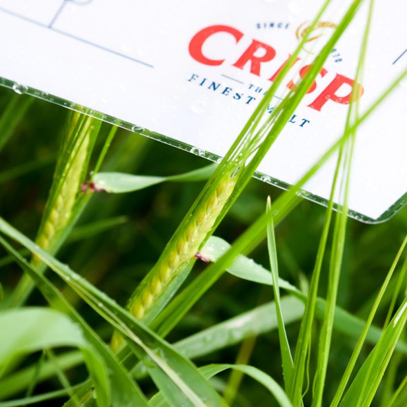 April Crop Update | Pricing and malting barley and wheat market updates