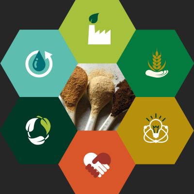 Crisp Malt Sustainability Report 2023, cover image
