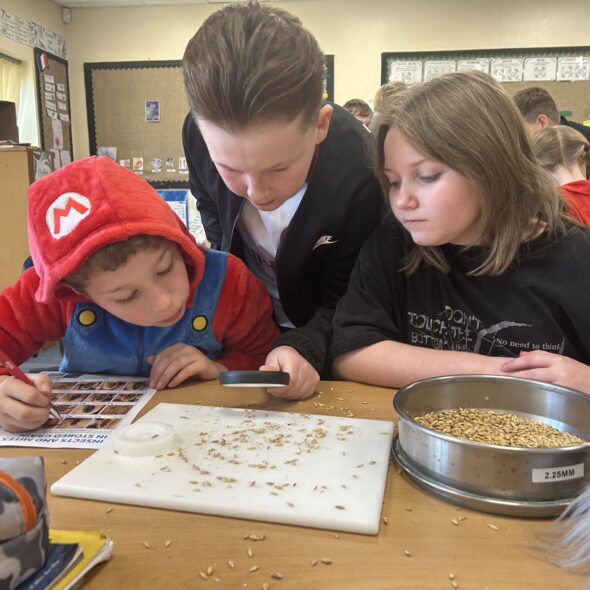 Inspiring future maltsters through malt education at a local primary school
